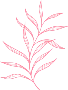 Decorative vector design left for Amanda's Aesthetics