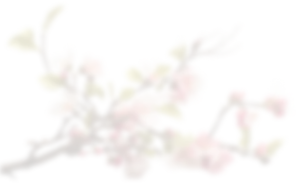 Floral background design of Amanda's Aesthetics homepage
